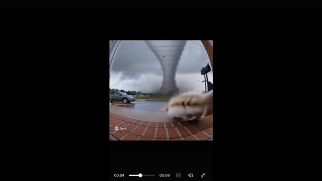 ААААА НЕТОТТ КОТОГУСЕНКА😭😭 смотреть онлайн