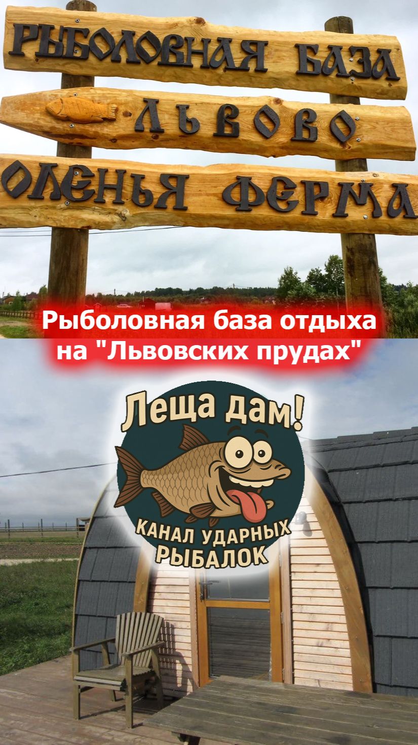 Карп 3.2 кг, Рыболовная база отдыха на 