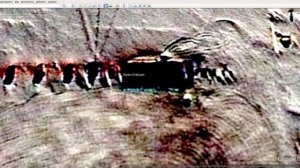 Антарктида . Найден Титанический скелет ГИГАНТА.