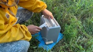 3 часть. Островной облёт маток Бакфаст на озере Чаны