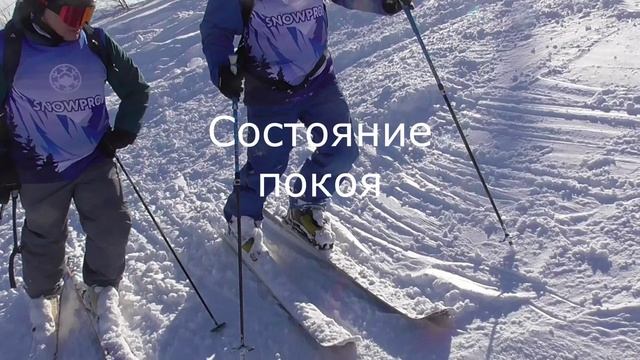 Биомеханика в горных лыжах.