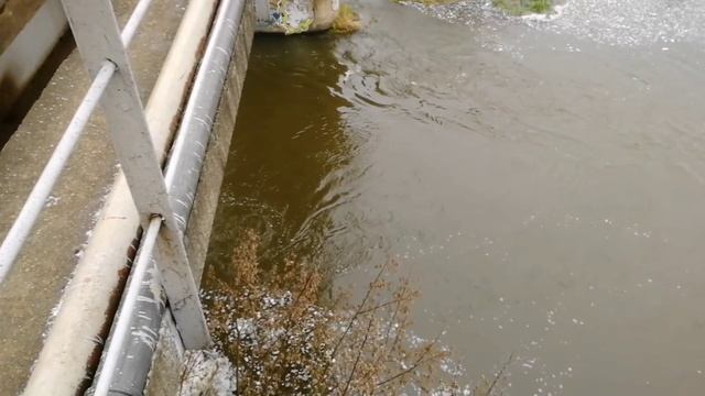 Андрей возвращение канала 4 PART