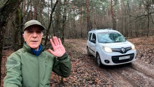 Осенний лес снова принёс Хабар! Сезон копа продолжается!