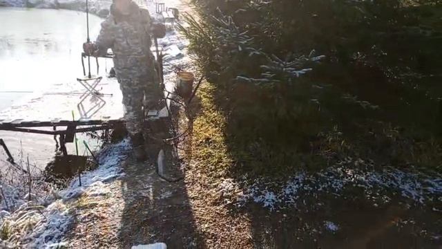 Светлые Горы Форель2 23.11.2025г. смотреть онлайн