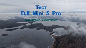 Тест DJI Mini 5 Pro в пасмурную и ветреную погоду