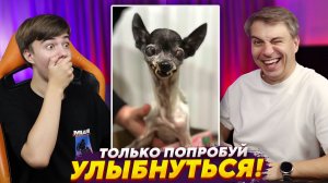 😂 Я СЛОМАЛСЯ на ЭТОМ моменте… ➢ НЕ ЗАСМЕЙСЯ ЧЕЛЛЕНДЖ или Мамина Подборка 48