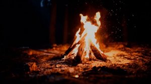 Вернись живой домой