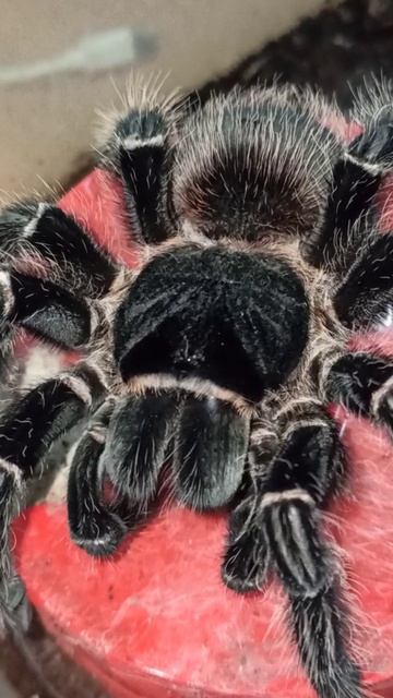 Машенька покушала. 14 ноября 2025 г. смотреть онлайн