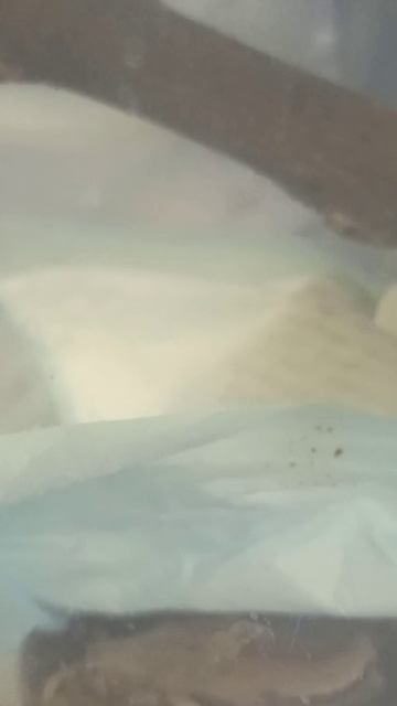 Трагедия у Мигеллы. 22 ноября 2025 г. смотреть онлайн