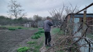 Разбираемся с виноградом. Покупки. Жизнь станичная на пенсии.