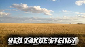 ЧТО ТАКОЕ СТЕПЬ?