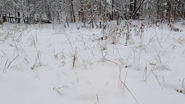 Позвони мне, сынок. Автор песни Татьяна Олексийчук смотреть онлайн