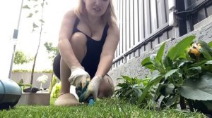 ВЛОГ Создаем красоту вокруг себя ! Высадила гортензию из МАГНИТА ! Уход за садом !