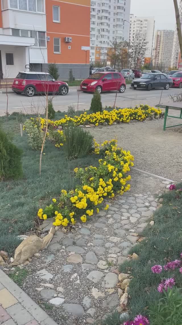 Красота во дворе. Анапа. Ленина, 231.