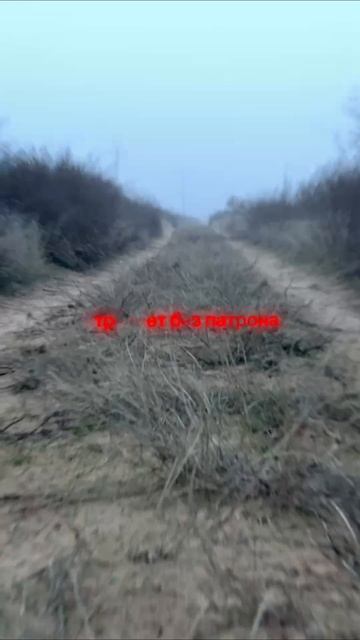 #рекомендации смотреть онлайн