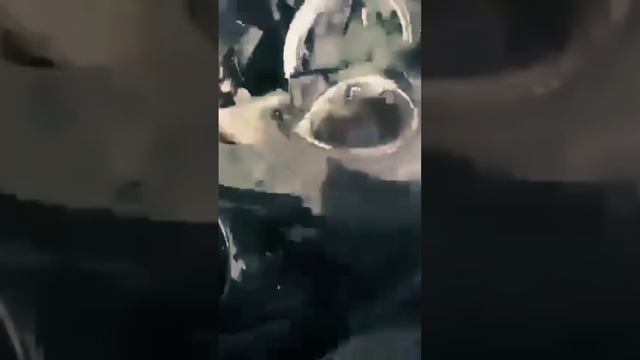 Проект " Украина пропадает без вести" против вранья смотреть онлайн