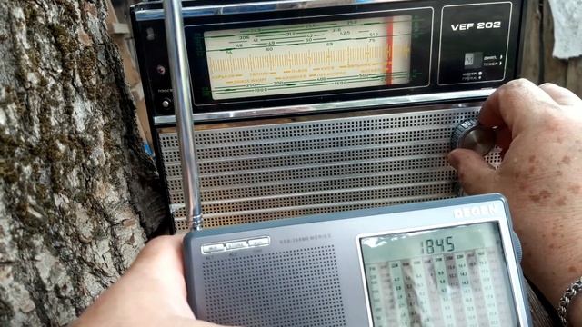 Две планки от Жоры Минского на ВЭФ-202 в сравнении с Дегеном. смотреть онлайн