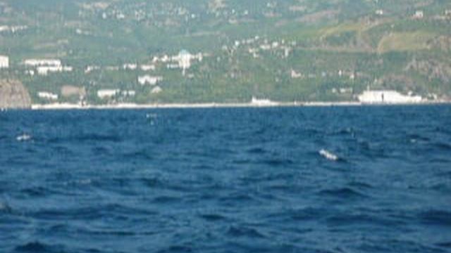 P1010499 смотреть онлайн