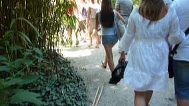 P1010505 смотреть онлайн