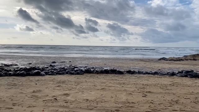 ВЛОГ С чего НАЧИНАЕТСЯ мое УТРО ! Дюны Золотые БОЛЬШЕ НЕ ЗОЛОТЫЕ а ЧЕРНЫЕ Чёрное море в мазуте смотреть онлайн