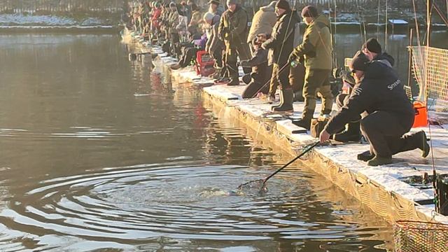 Спорт зона. смотреть онлайн