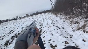 Охота на зайца в Ленинградской области сезон 2025-2026. Подъём первого зайца.