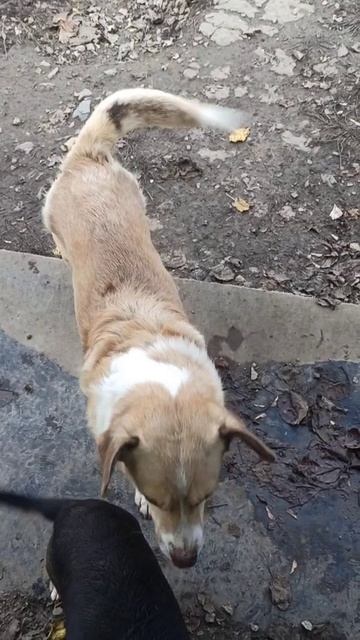 Наша погода на 18 ноября 2025 г. Ураган. смотреть онлайн