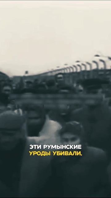 Убийцам ставят памятники, да это позор и предательство наших предков. смотреть онлайн