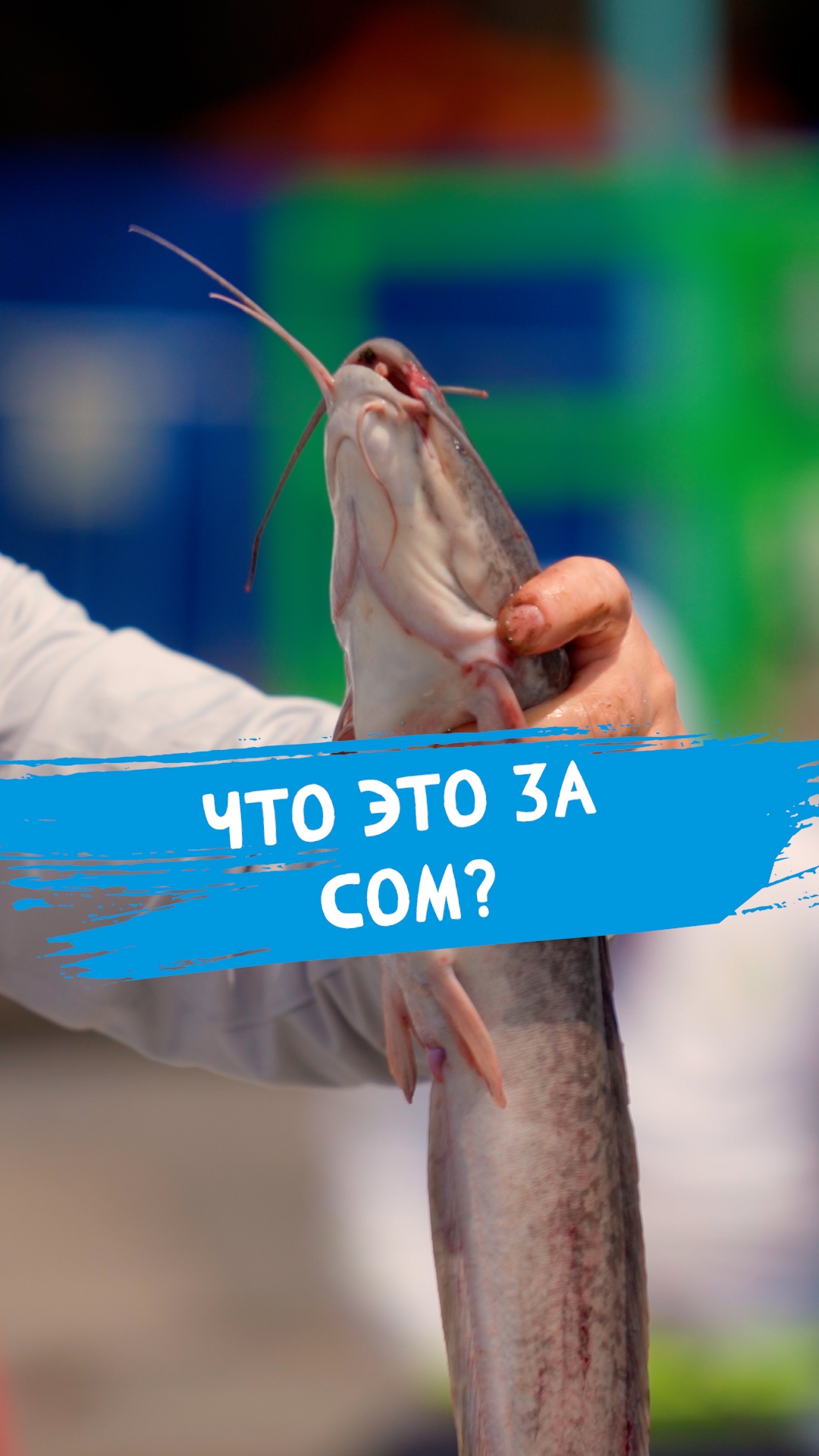 ? смотреть онлайн