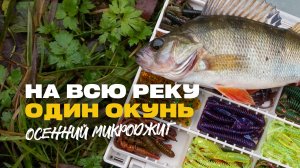 Рыбалка на Спиннинг Микроджиг Один Окунь на всю Речку