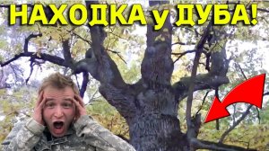НАХОДКА ВОЗЛЕ СТАРОГО ДУБА ПОРАДОВАЛА МЕНЯ, Повезло Сегодня на КОПЕ в Лесу, не Ожидал!