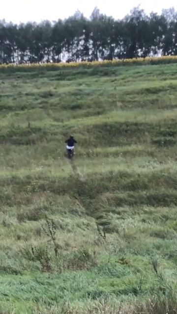 Покоряем горки)⛰️ #питбайк #рекомендации #kayo #shorts смотреть онлайн