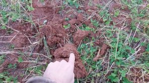 Обход старых мест. Коп с Nokta Find X Pro