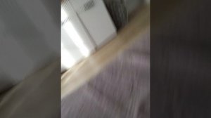 маша и медведь первая встреча 1.