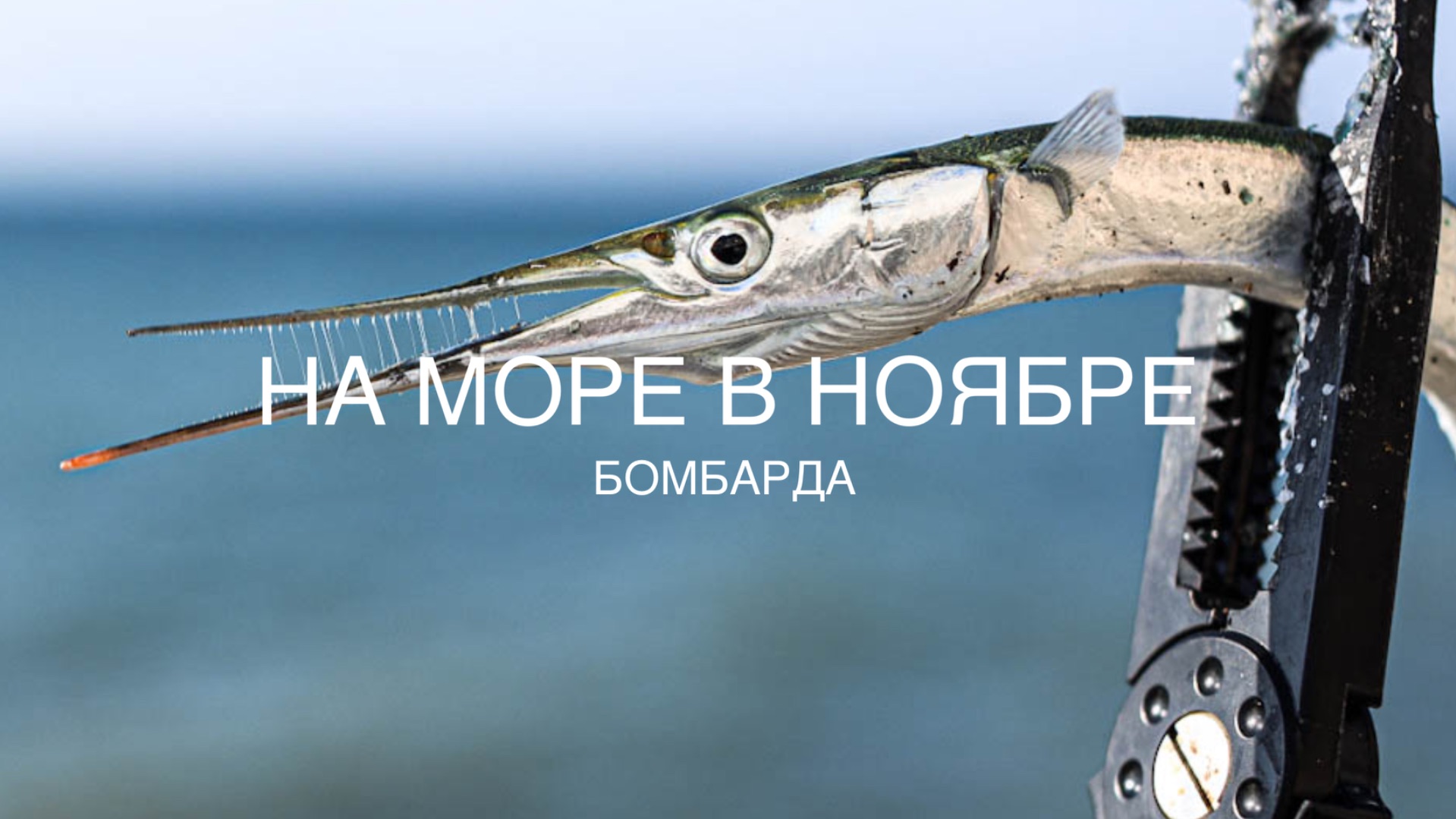 На Черное море в ноябре. Сарган и кефаль на бомбарду. смотреть онлайн