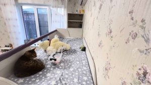 Vlog УБОРКА В ДОМЕ ! Показываю наши любимые гаджеты для уборки !