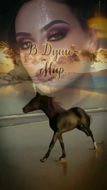 Живите так,чтобы... смотреть онлайн