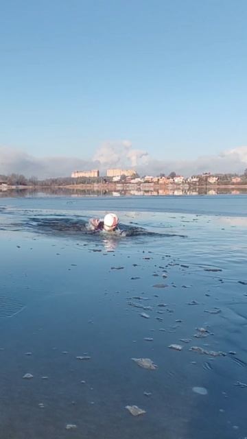 Днём 🥶 моржа!!! / Dvizh112
#dvizh112  #dance #танцы #движ112 #танцую #썸Somefeat #моржевание #закалив