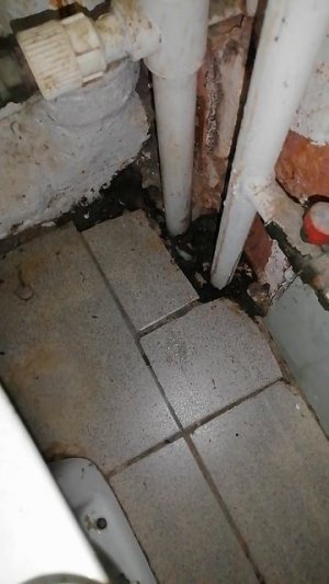 и тут пришлось доказывать