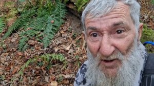 Дебрюковая реальность