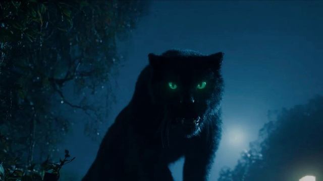 video_Мастер и Маргарита, Глава 27, Часть 2, Конец квартире No 50