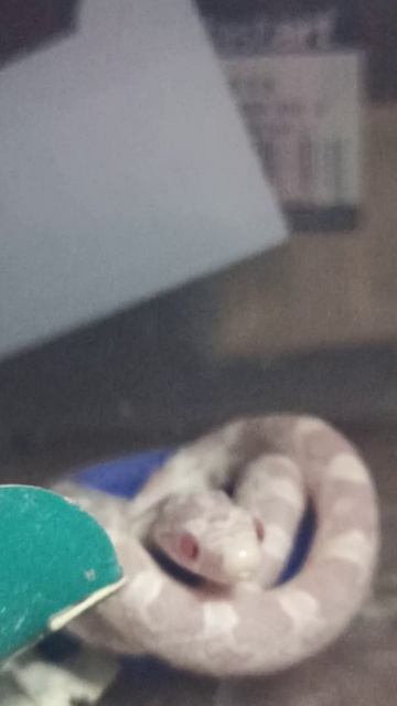 Малой в бассейне! 16 ноября 2025 г. смотреть онлайн