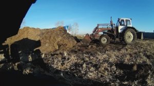 Сделал подъезд к сеновалу и вывез навоз с помощью трактора ЮМЗ-6.