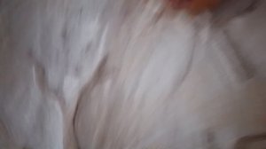 гусь 2 сезон 4 серия 2 часть остров 🪿