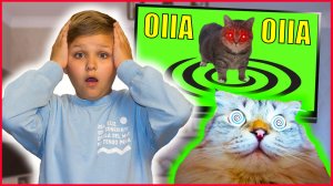 OIIA CAT в РЕАЛЬНОЙ ЖИЗНИ У МЕНЯ ДОМА! ЗЛОЙ КОТ ОИИА!