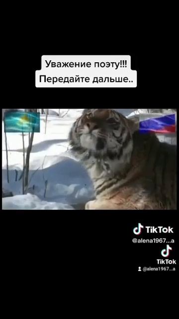 Не хмурьте брови. смотреть онлайн