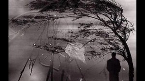 Меж дорОгою и дорогОю. муз. А.Притупова, ст. К.Мазлумяна. исполнитель Николай Пожидаев.