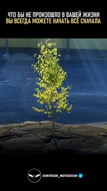Чтобы не произошло в вашей жизни вы всегда можете начать всё сначала #мудрость смотреть онлайн
