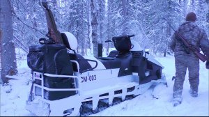 ВЫЕЗД В ТАЙГУ НА СНЕГОХОДЕ СМ-003 / ОХОТА НА БОРОВУЮ ДИЧЬ С МЕЛКАШКОЙ / ПРОБИВАЮ ДОРОГУ НА БОЛОТО.