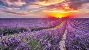 Впереди только небо.